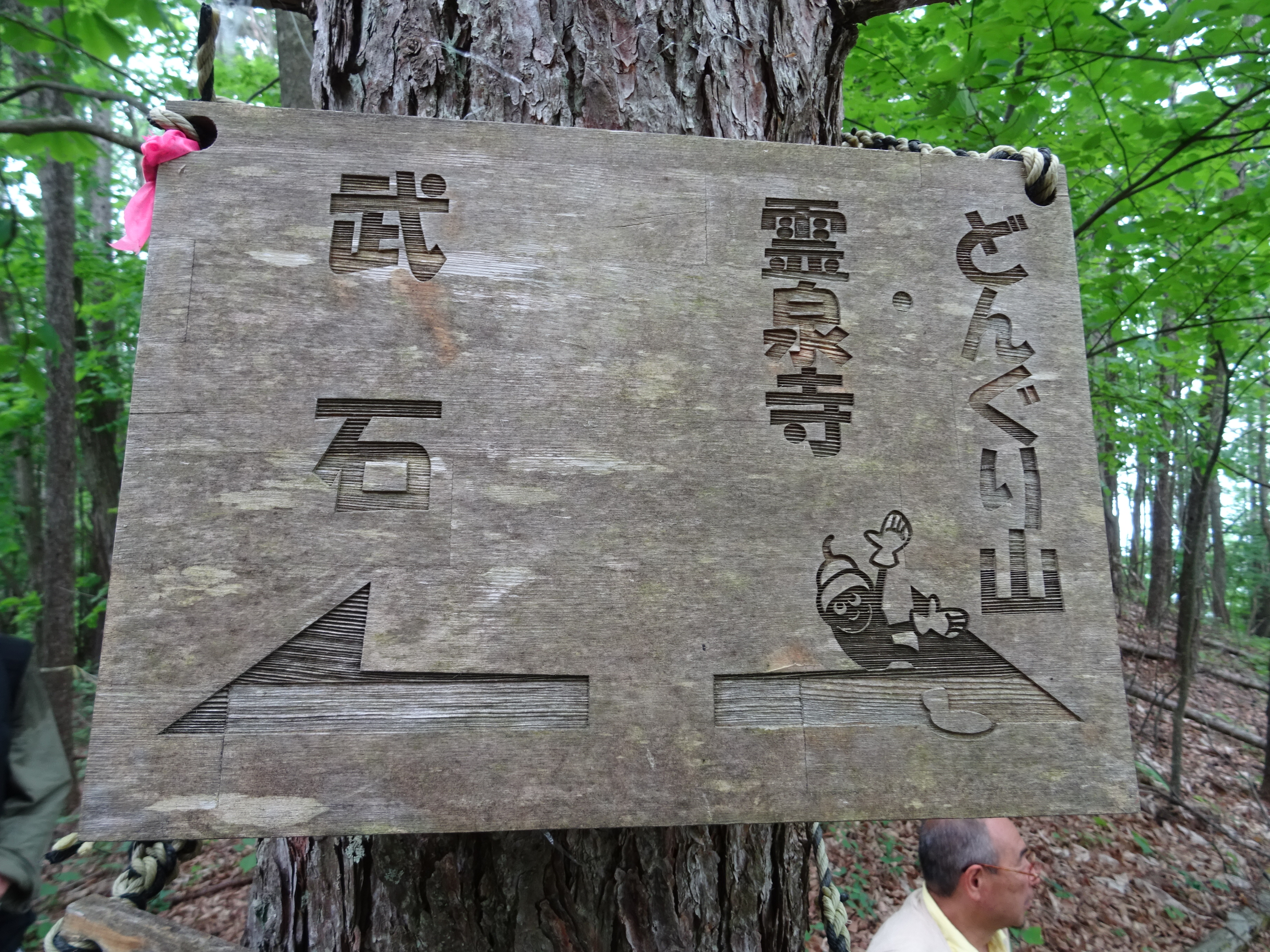 Z݂悢΂,